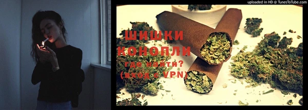 apvp Аркадак