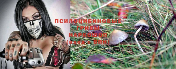 меф Арсеньев