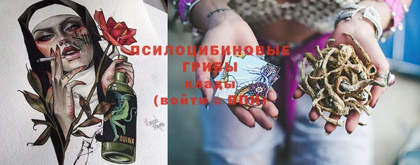 меф Арсеньев