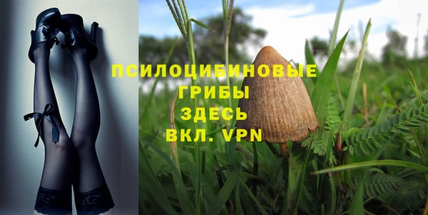 ешки Армянск
