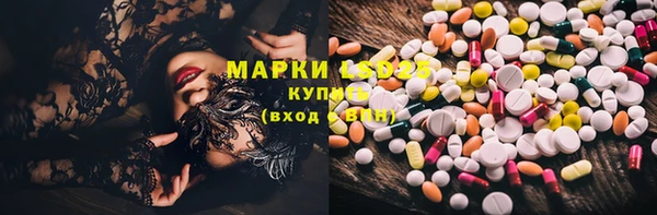 apvp Аркадак