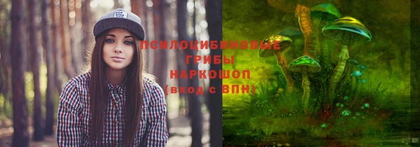 ешки Армянск