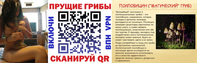 Галлюциногенные грибы прущие грибы  Североморск 